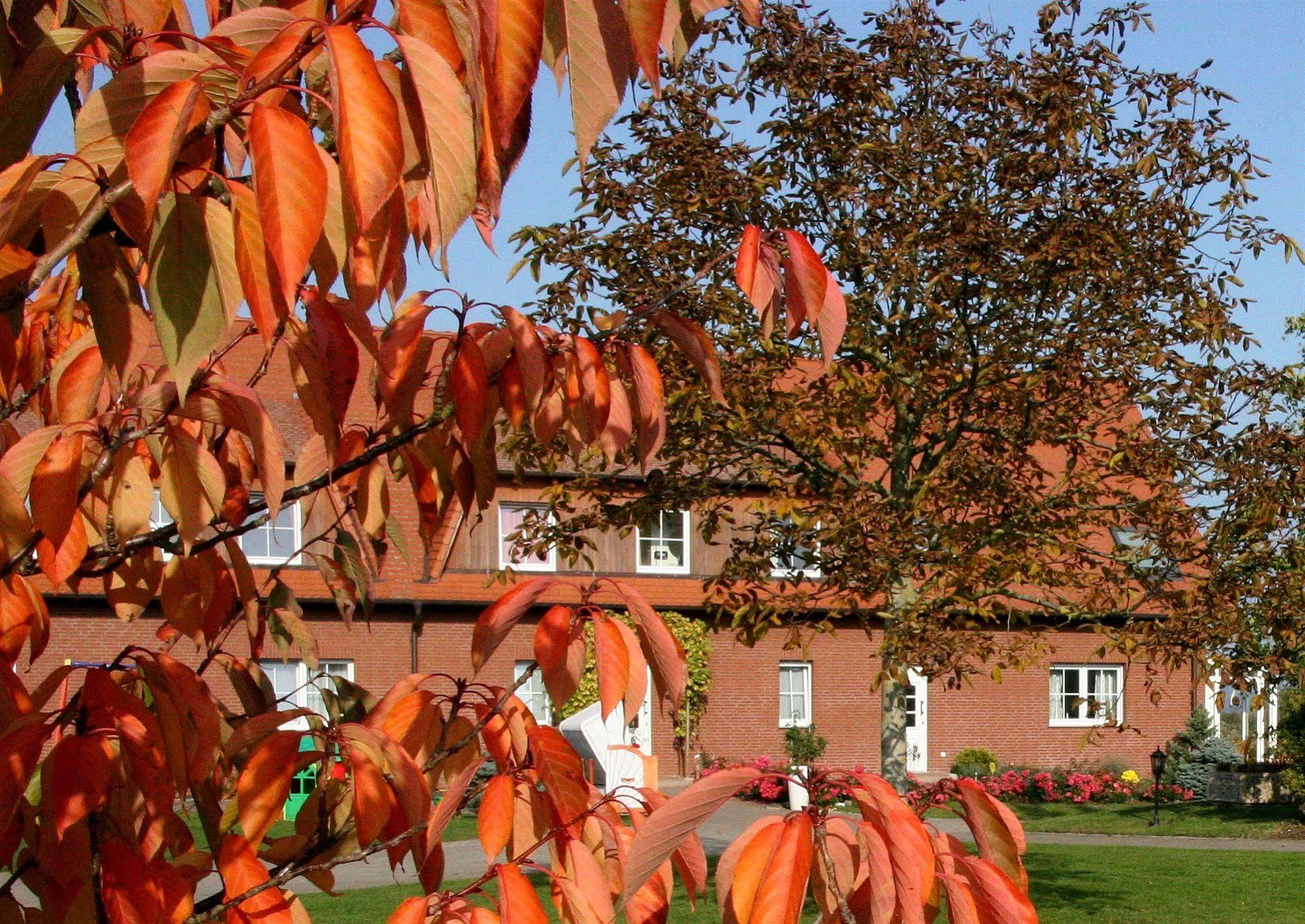 Flair Seehotel Zielow Ludorf Bagian luar foto