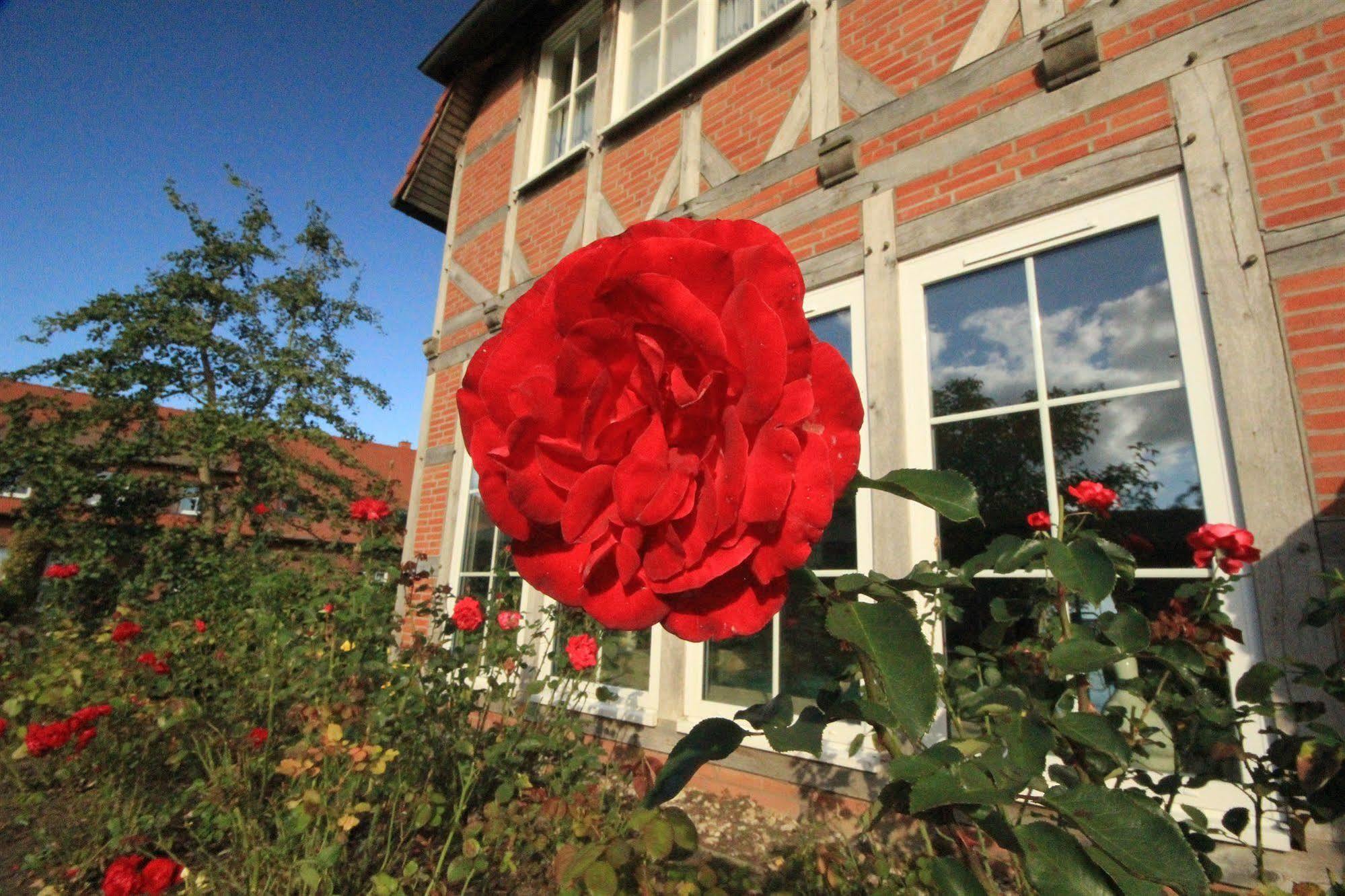 Flair Seehotel Zielow Ludorf Bagian luar foto